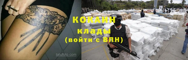 СК Зерноград